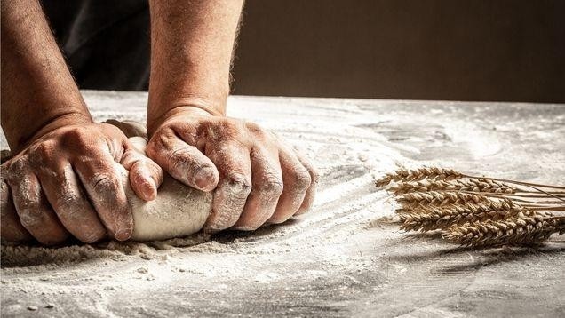 Convention collective boulangerie : quels congés payés et jours fériés en 2025 ?