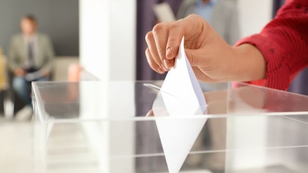 La désignation du délégué syndical : tout savoir sur le processus